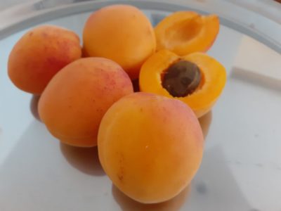 Abricots